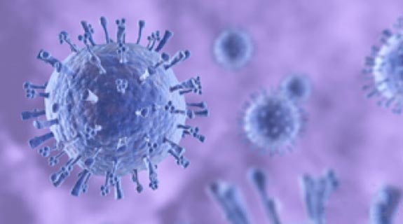 中英科学家在甲肝病毒三维结构领域获重大突破，对于抗肝炎病毒药物的研发提供理论指导和新方向